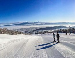 Furano・Japan