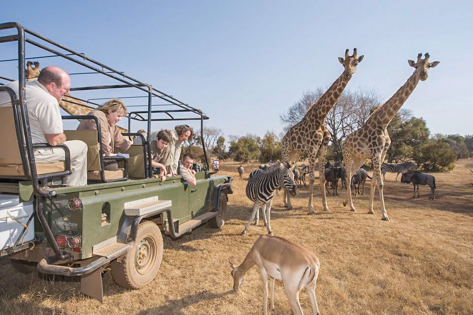 3 reasons you should take an African safari with the kids