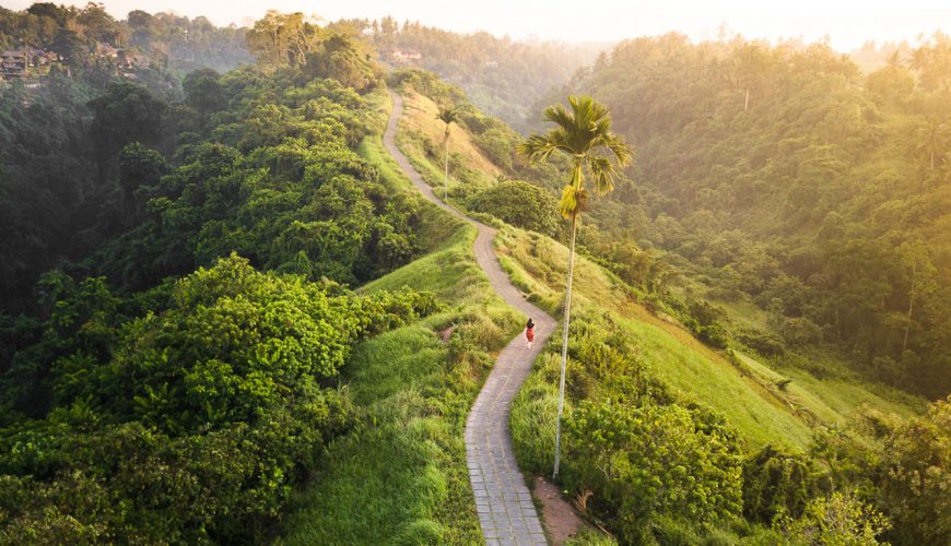 Building your own wellness retreat to Ubud, Bali? We round up a few must-dos